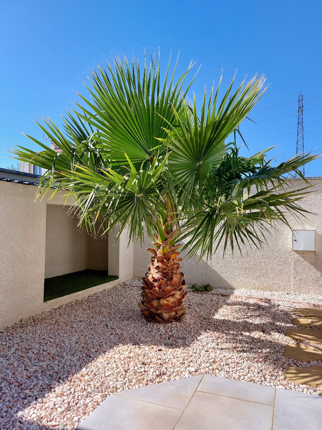La maison Little Blue Palm
